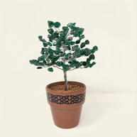 Green Aventurine Gem Tree with Celtic Knot Pot – Abundance & Luck Decor